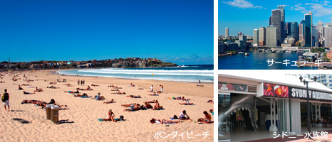 シドニー